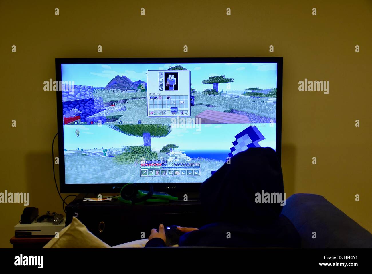 Teenager playing Minecraft multiplayer online game (MMO Stock Photo - Alamy