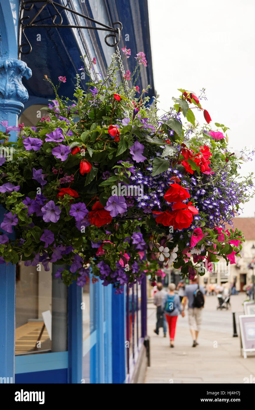 Front of coffee shop, flowers in hanging basket, Glastonbury, Somerset, England, UK Stock Photo
