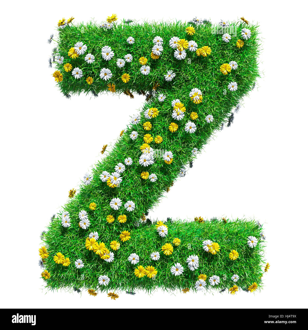 Letter Z Of Green Grass And Flowers. Isolated On White Background ...