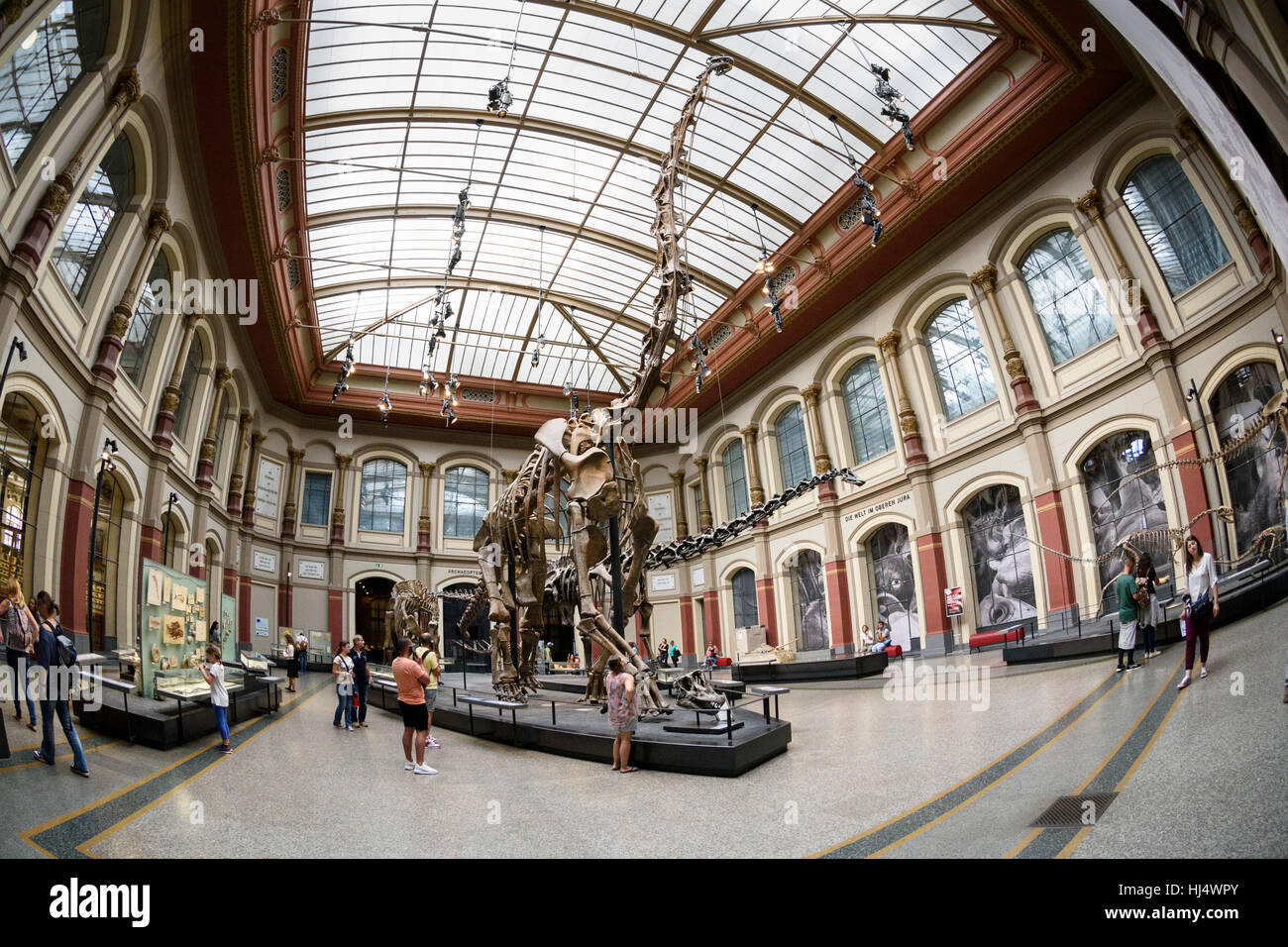 Berlin Germany Museum F r Naturkunde The Dinosaur Hall With The Berlin Germany Museum F r Naturkunde The Dinosaur Hall With The