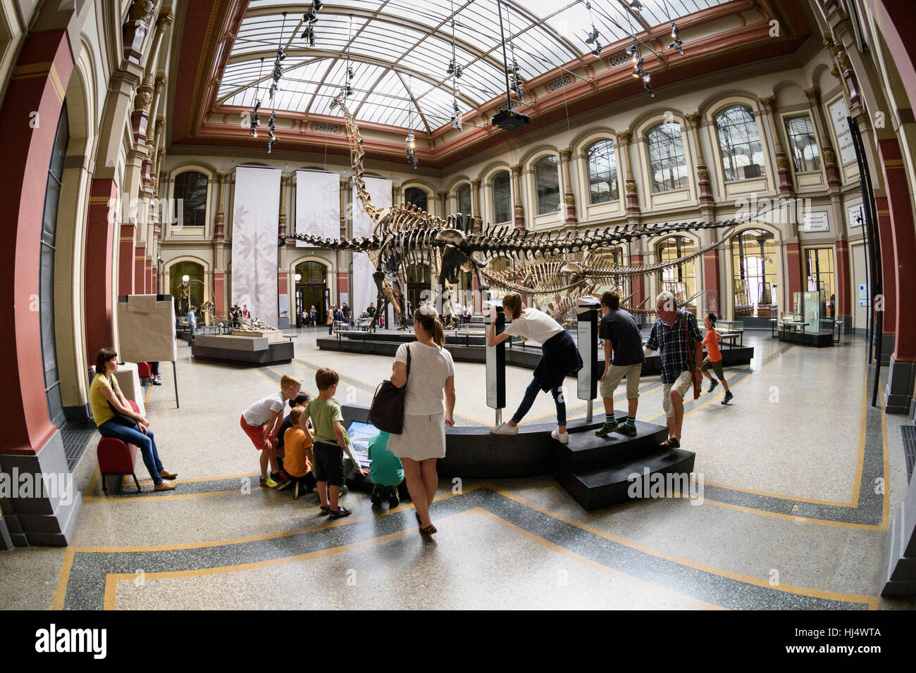 Berlin. Germany. Museum für Naturkunde, visitors in the Dinosaur Hall with the skeleton of Diplodocus carnegiei (foregound) Stock Photo
