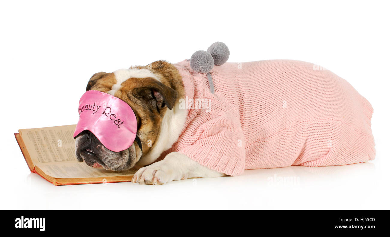 Téléchargement gratuit Images Sweet Model Design Project Concept Plan Draft Humour dernière salutations