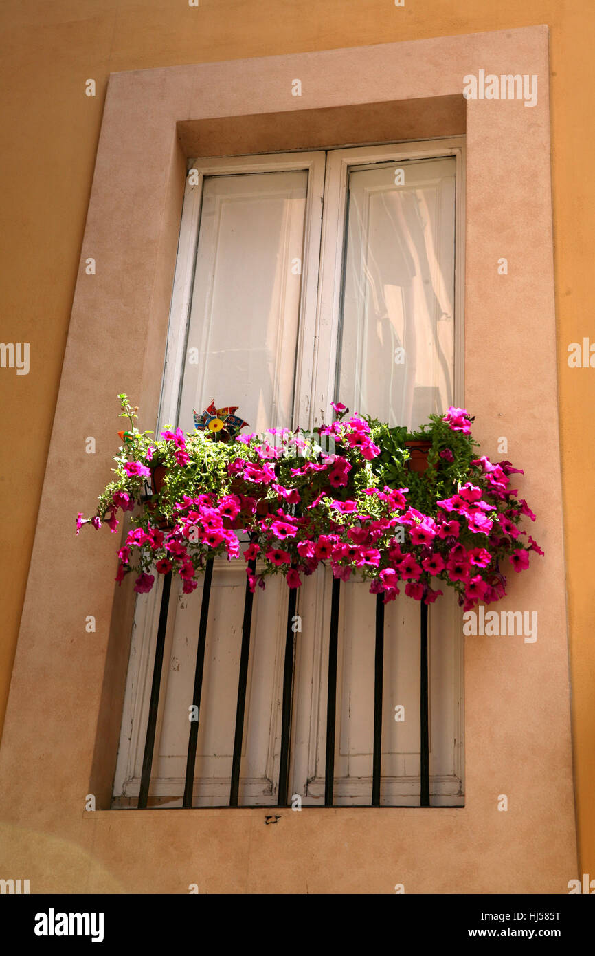 house, building, glass, chalice, tumbler, colour, window, porthole ...