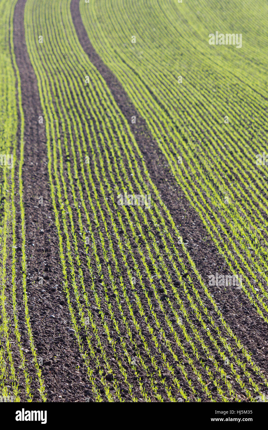 footprints in the field Stock Photo Alamy
