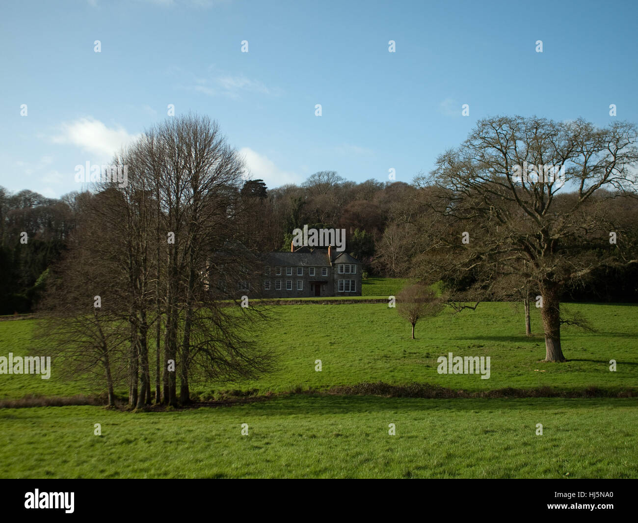 house, building, tree, trees, estate, landscape, scenery, countryside, nature, Stock Photo