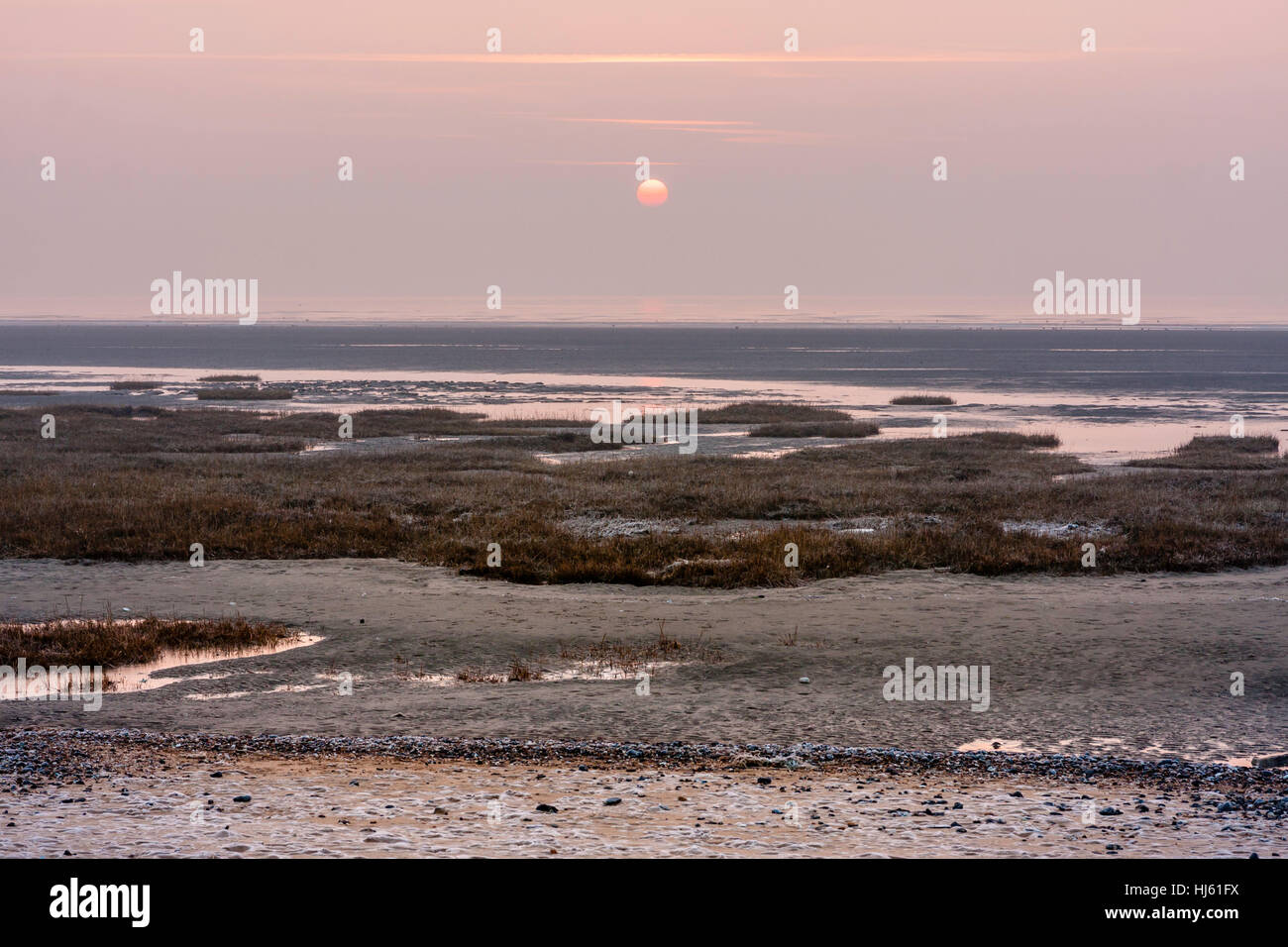 Sunrise over the English Channel at Pegwell Bay. Salt water marshes at low tide with many clumps of spartina grass growing in foreground. Hazy sky. Stock Photo