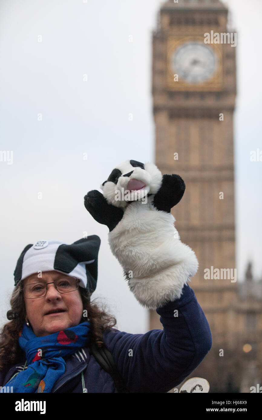 London, UK. 26th January, 2017. Animal rights campaigners march in remembrance of 10,866 badgers killed in the UK during the 2016 season. Credit: Mark Kerrison/Alamy Live News Stock Photo