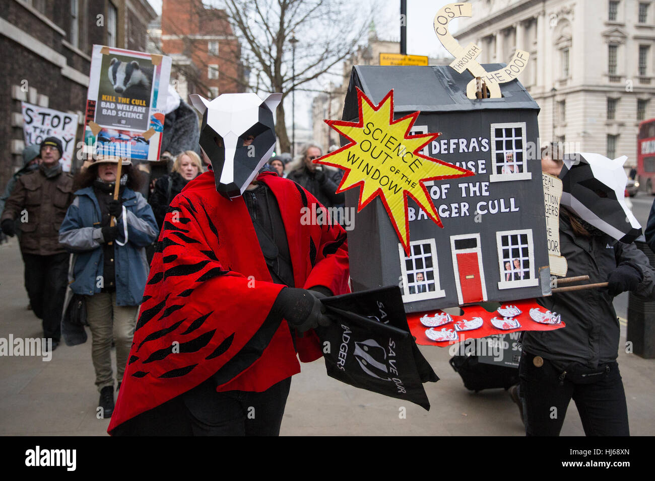 London, UK. 26th January, 2017. Animal rights campaigners march in remembrance of 10,866 badgers killed in the UK during the 2016 season. Credit: Mark Kerrison/Alamy Live News Stock Photo