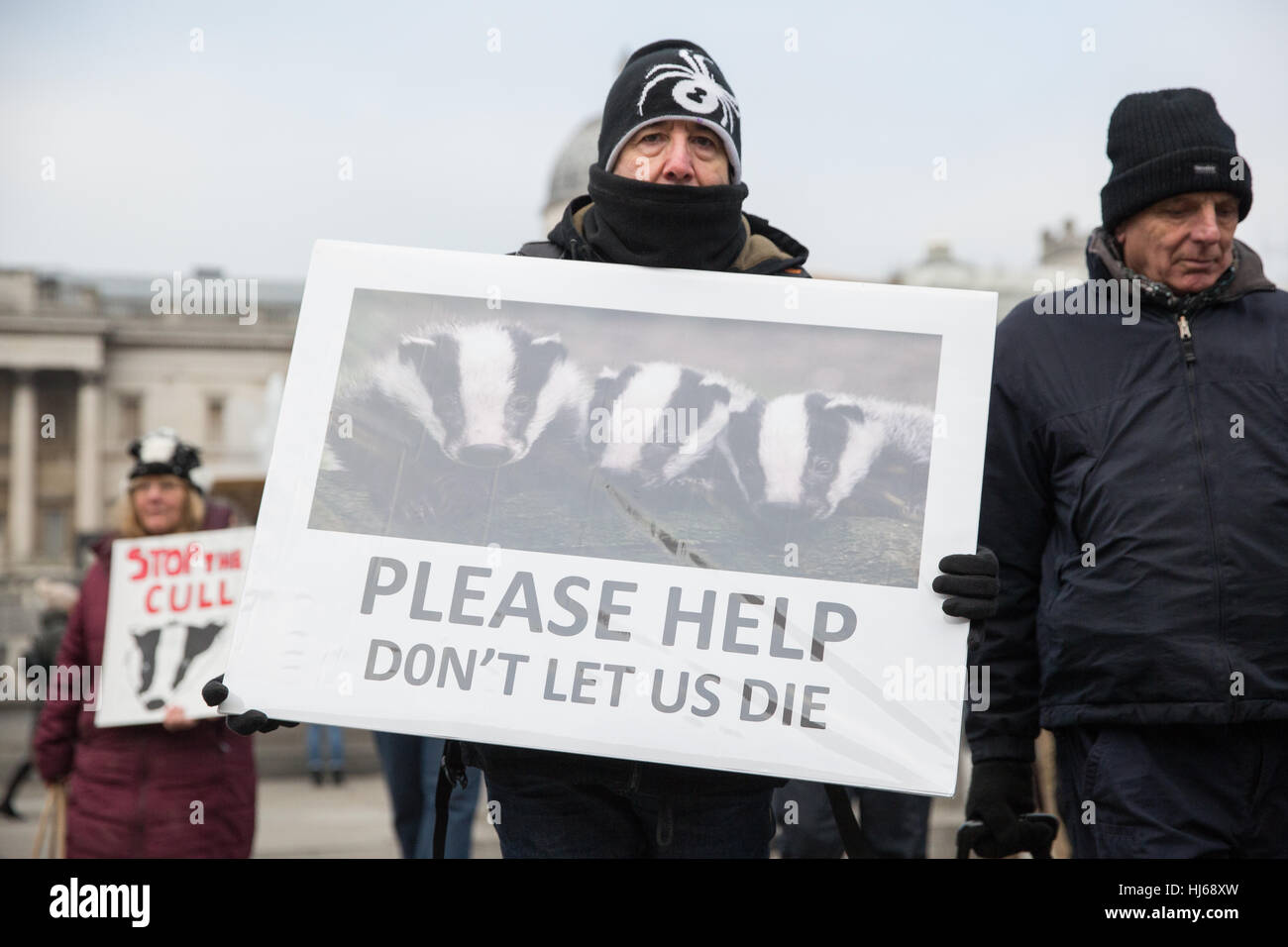 London, UK. 26th January, 2017. Animal rights campaigners march in remembrance of 10,866 badgers killed in the UK during the 2016 season. Credit: Mark Kerrison/Alamy Live News Stock Photo