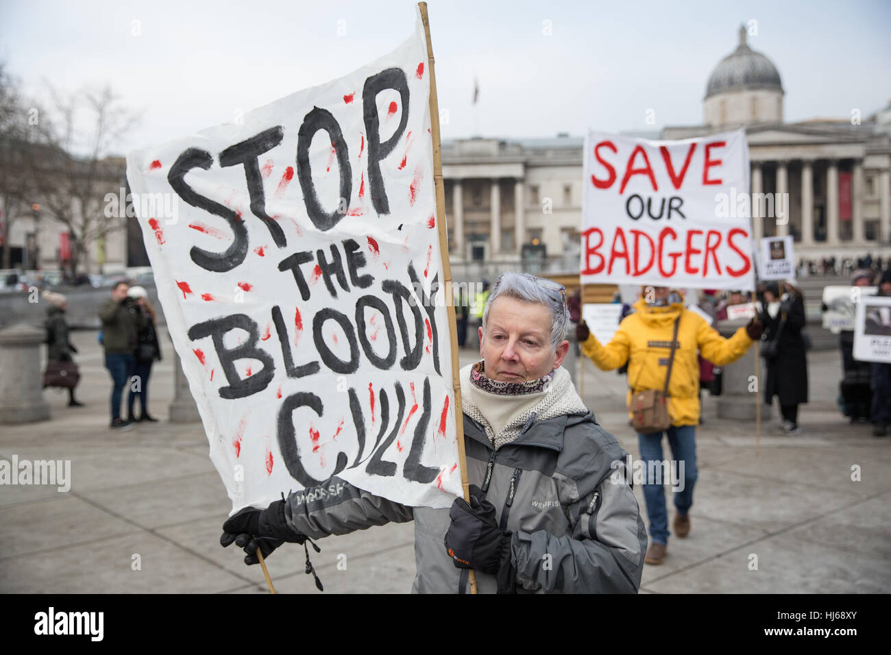 London, UK. 26th January, 2017. Animal rights campaigners march in remembrance of 10,866 badgers killed in the UK during the 2016 season. Credit: Mark Kerrison/Alamy Live News Stock Photo