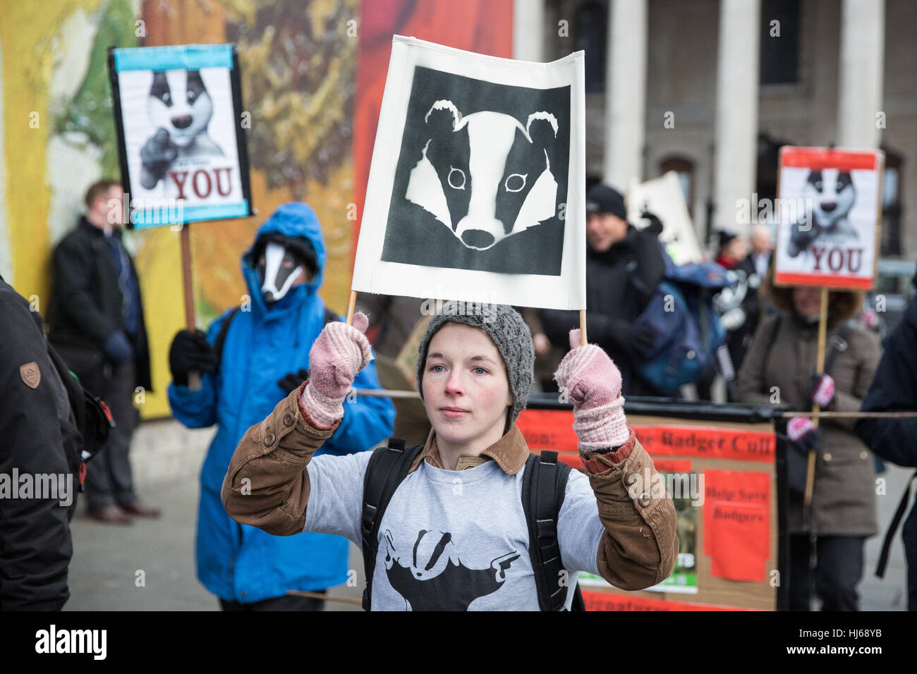 London, UK. 26th January, 2017. Animal rights campaigners march in remembrance of 10,866 badgers killed in the UK during the 2016 season. Credit: Mark Kerrison/Alamy Live News Stock Photo