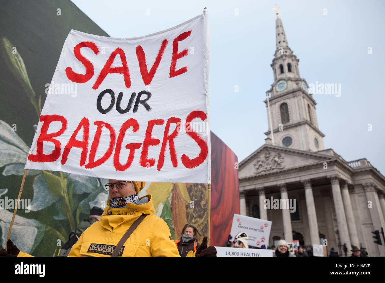 London, UK. 26th January, 2017. Animal rights campaigners march in remembrance of 10,866 badgers killed in the UK during the 2016 season. Credit: Mark Kerrison/Alamy Live News Stock Photo