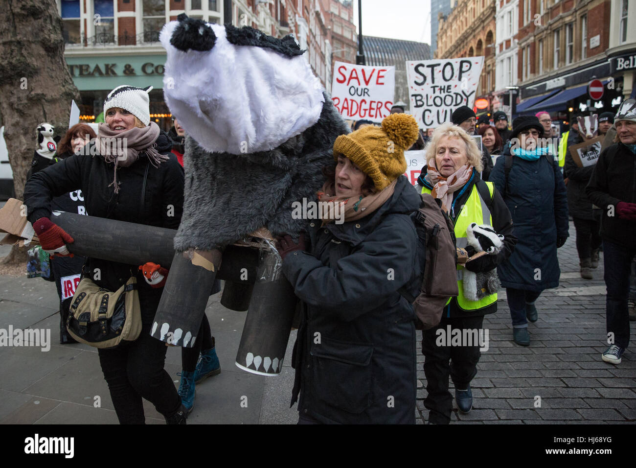 London, UK. 26th January, 2017. Animal rights campaigners march in remembrance of 10,866 badgers killed in the UK during the 2016 season. Credit: Mark Kerrison/Alamy Live News Stock Photo