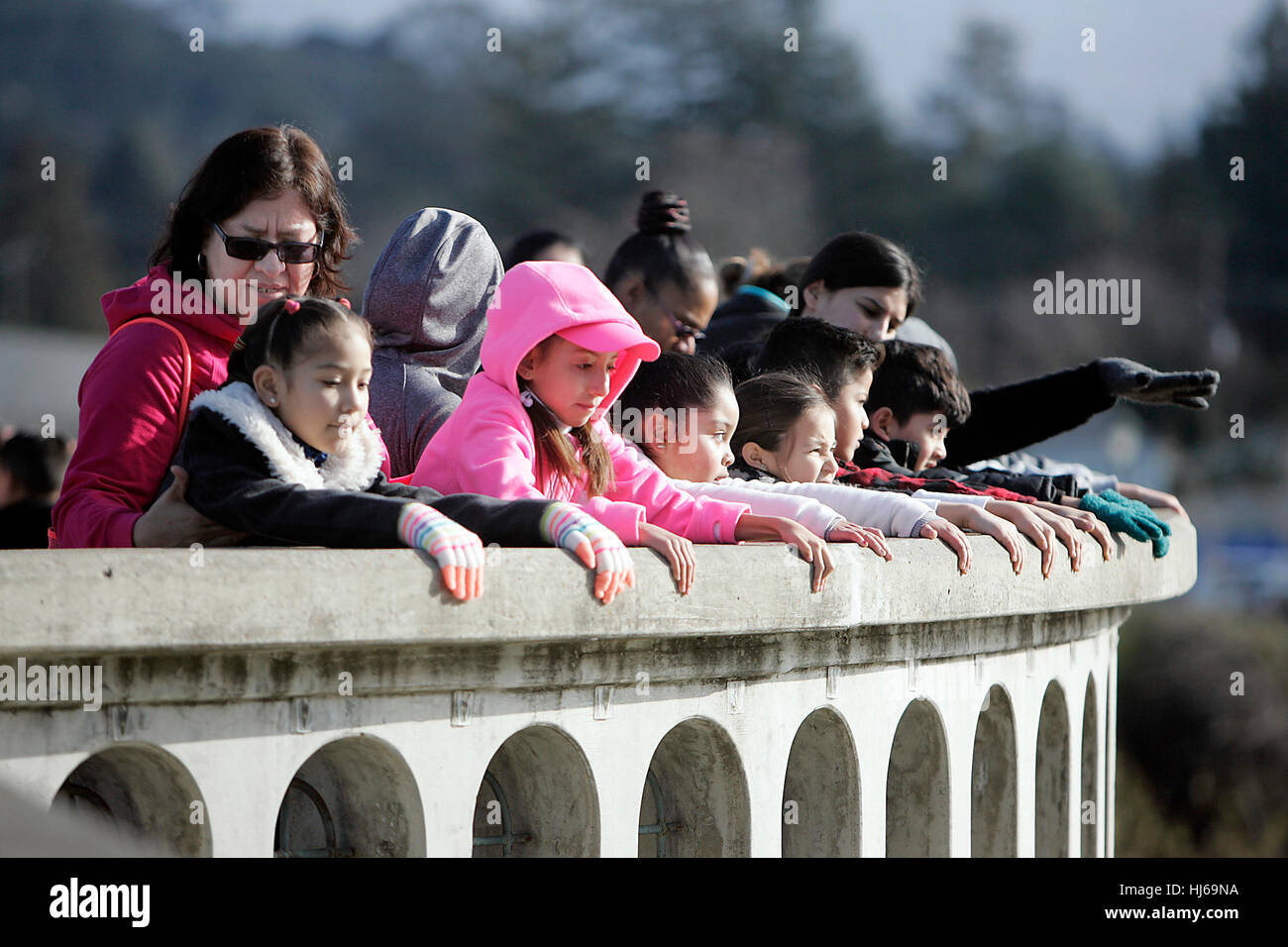 Napa, CA, USA. 25th Jan, 2017. Shearer Elementary School students pause on the Third Street bridge overlooking the Napa River on Wednesday during an Outdoor Classroom sponsored by the Napa Valley Vine Trail. Shearer was the first school to take advantage of the Vine Trail program, which teaches students about the neighborhood, the trail and river. All four of the 1st grade classes, about 80 students, took part in the excursion as they walked from their school, through Old Town Napa to the Vine Trail at Third Street and Soscol Avenue. Credit: Napa Valley Register/ZUMA Wire/Alamy Live News Stock Photo