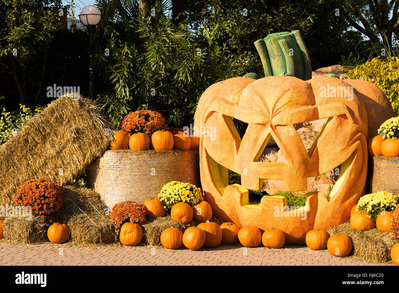 the halloween season Stock Photo Alamy