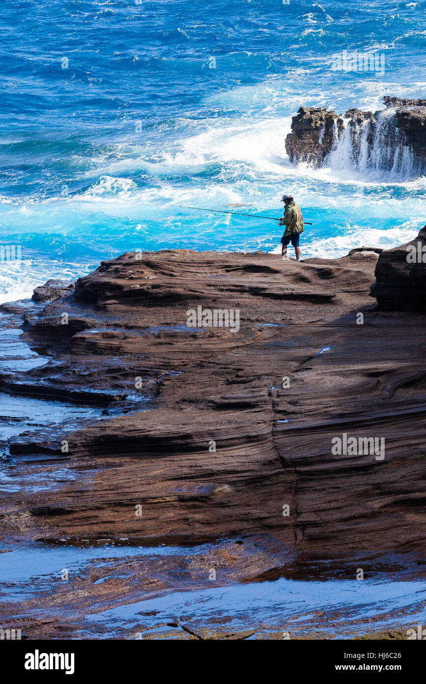 Hawaiian ocean fish hi-res stock photography and images - Alamy