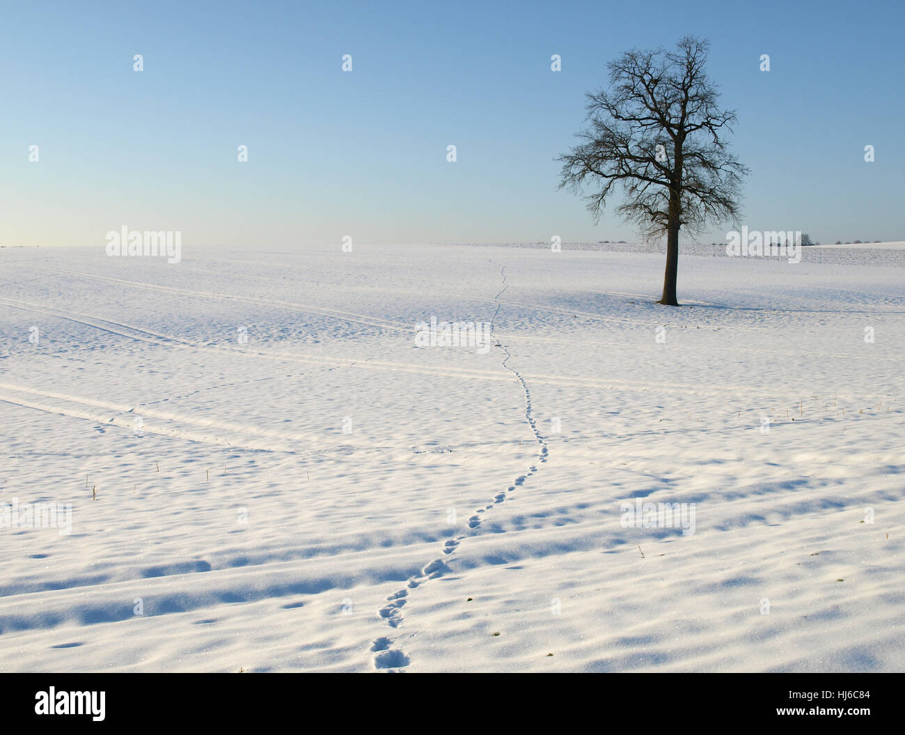 in far field Stock Photo Alamy