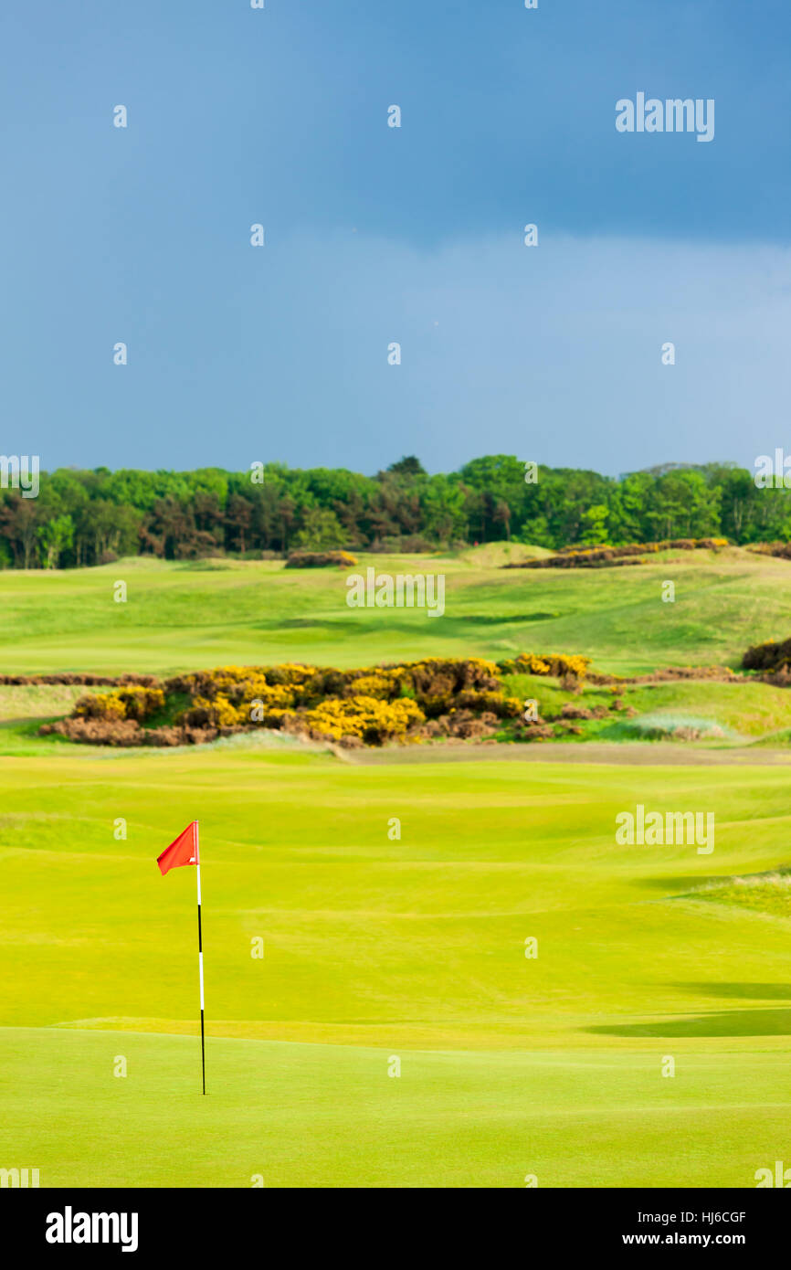 scotland, golf course, fife, europe, outside, flag, scotland, lowlands, golf Stock Photo