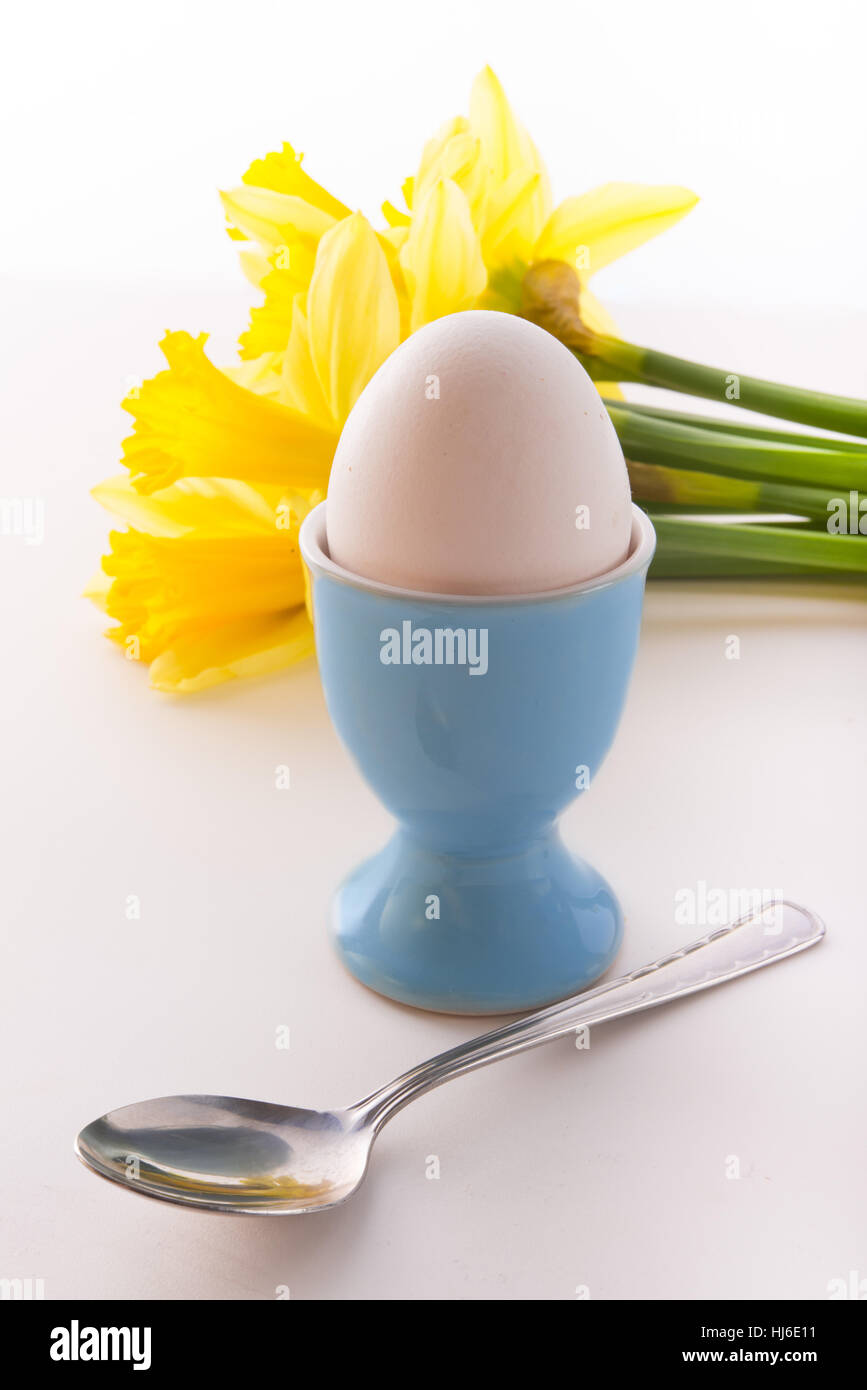 flower, flowers, plant, easter, egg, season, daffodils, narcissus, daffodil, Stock Photo