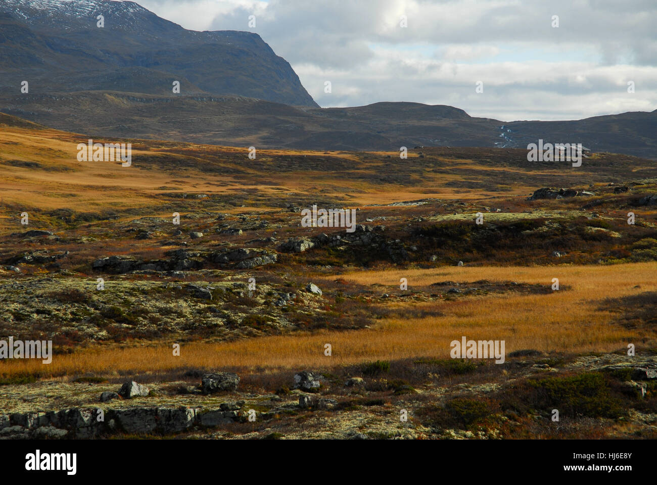 Hallingskarvet national park hi-res stock photography and images - Alamy