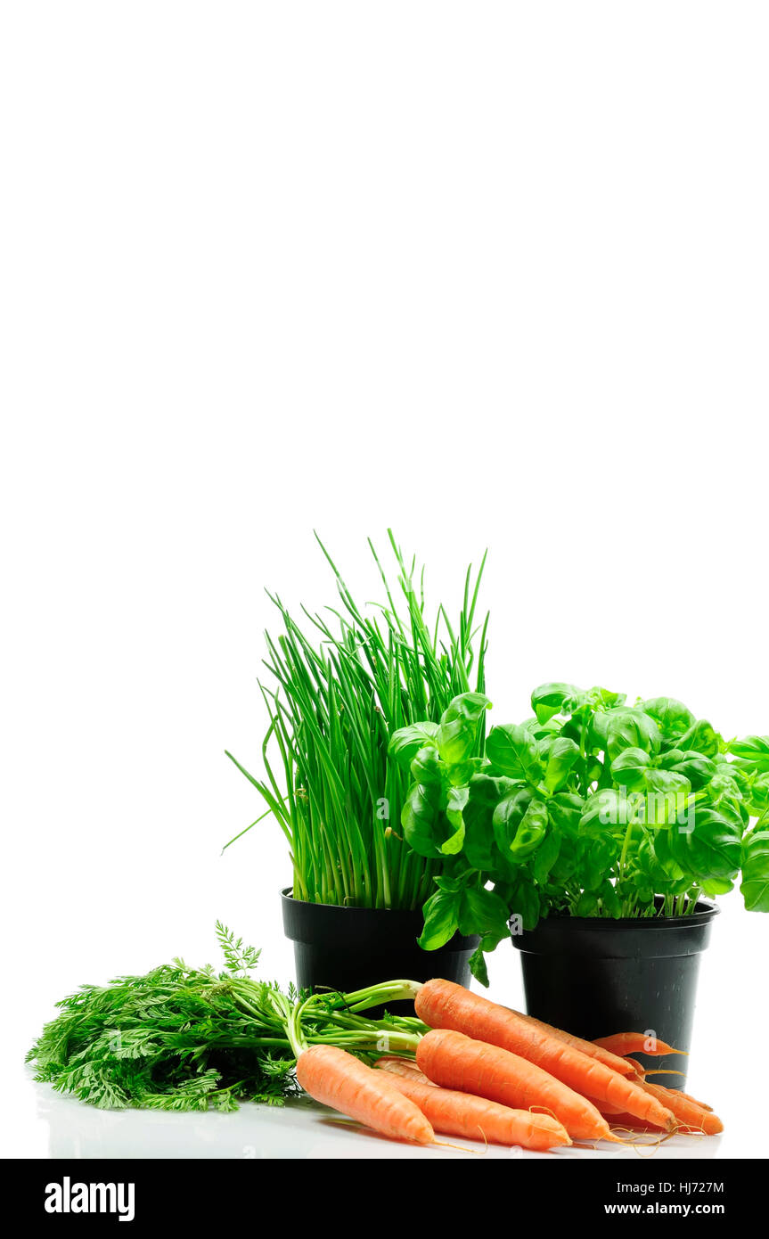 carrots, paprika, peppers, parsley, lovage, chives, chive, leaf, spice, garden, Stock Photo