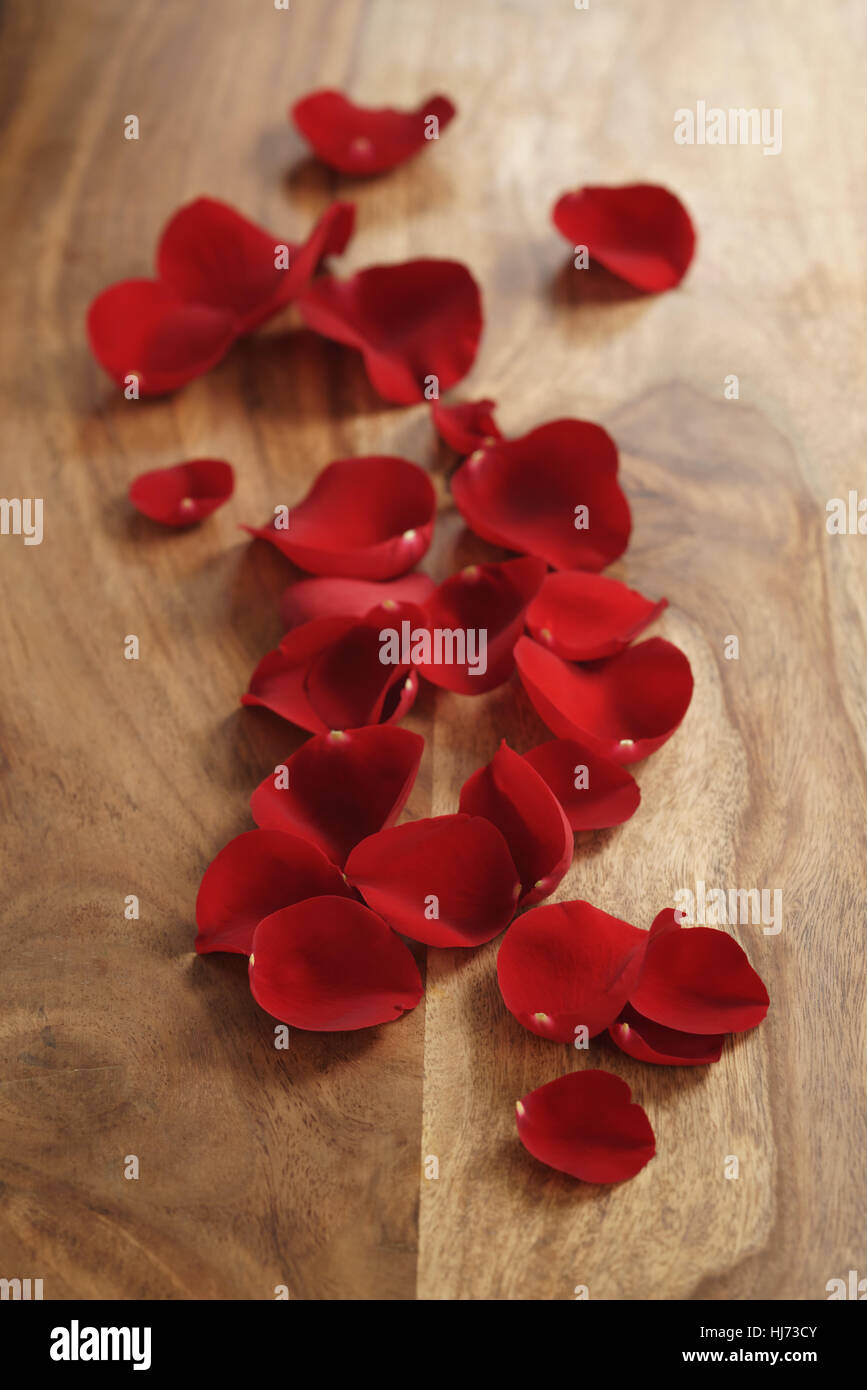 red rose petals on old wood table Stock Photo