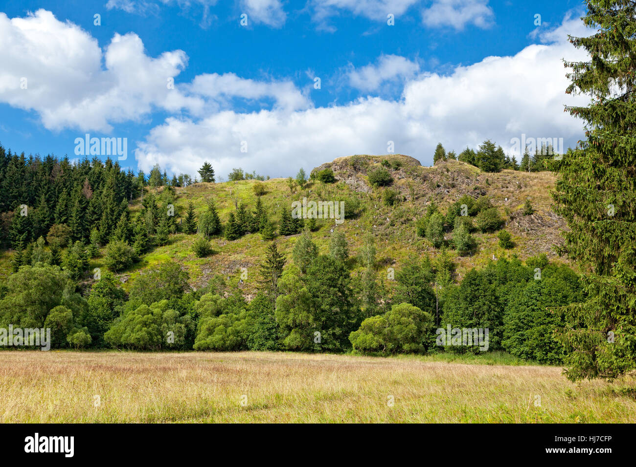 rock, resin, glade, rock, resin, glade, forest, burgberg, hexenstieg Stock Photo Alamy