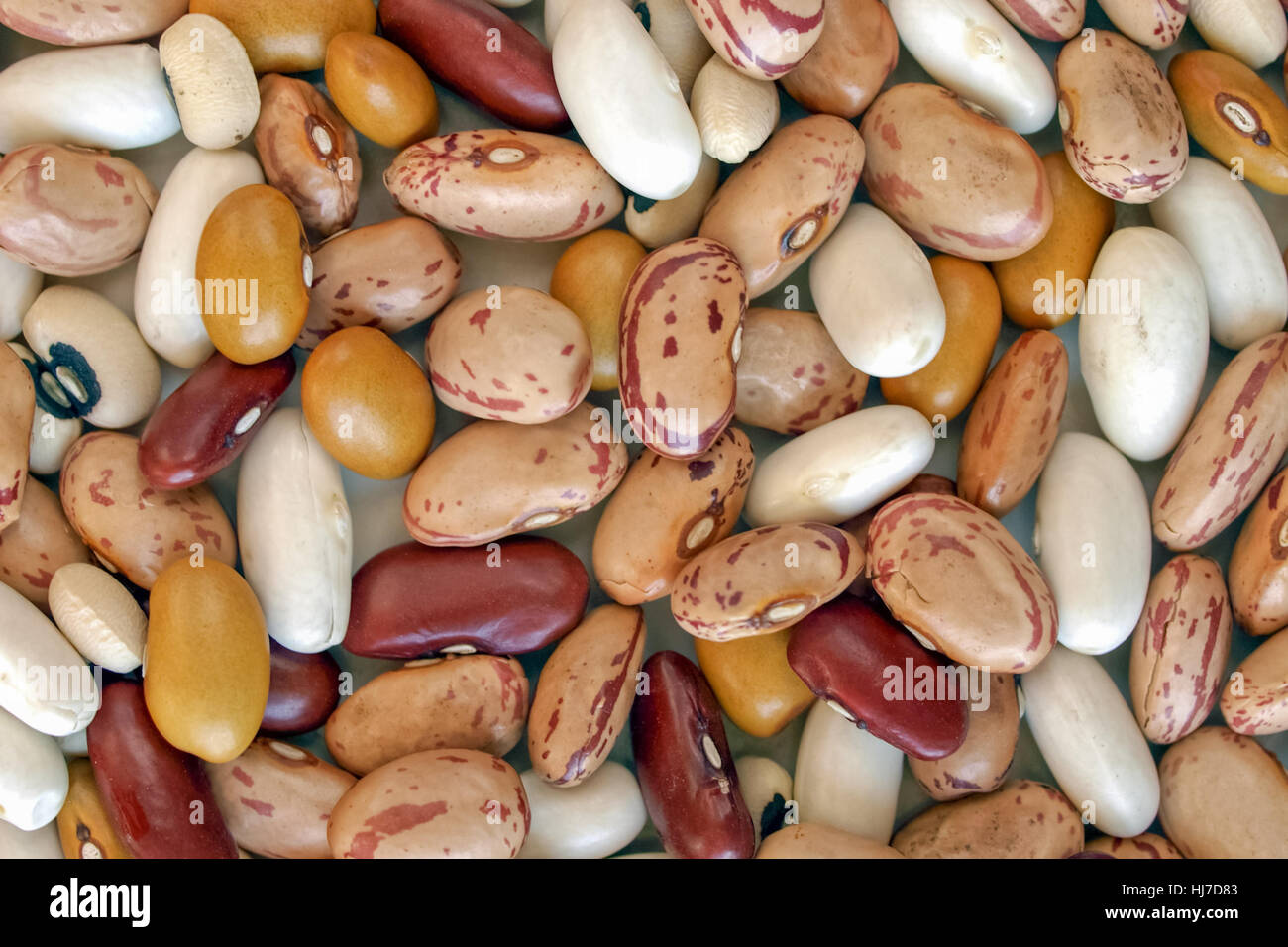 food, aliment, biological, beans, peas, soy, soya, legume, vegetables