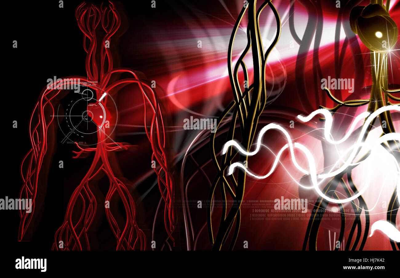 Circulation Graphics object, education, circulation, graphics, colour, human, human being ...