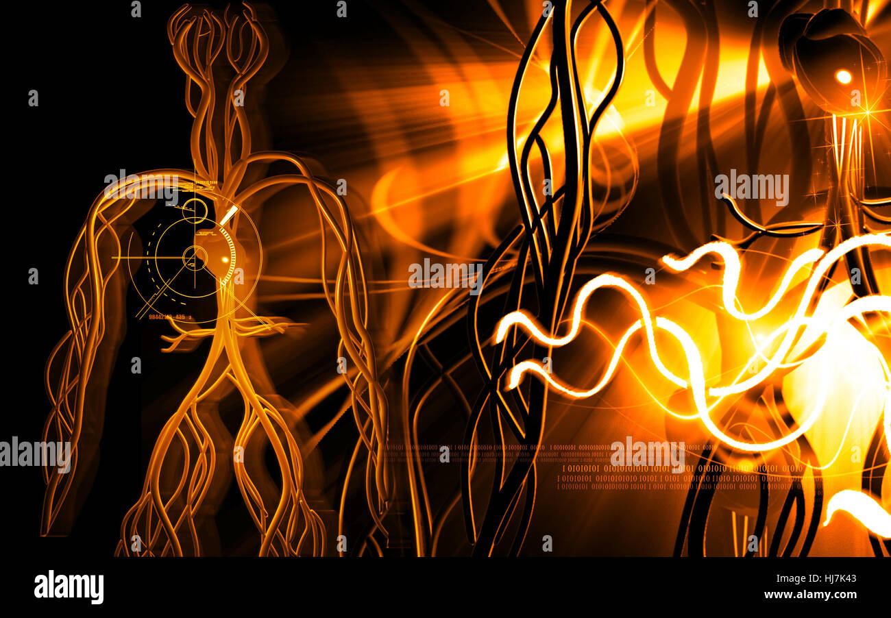 Object Education Circulation Graphics Colour Human Human Being