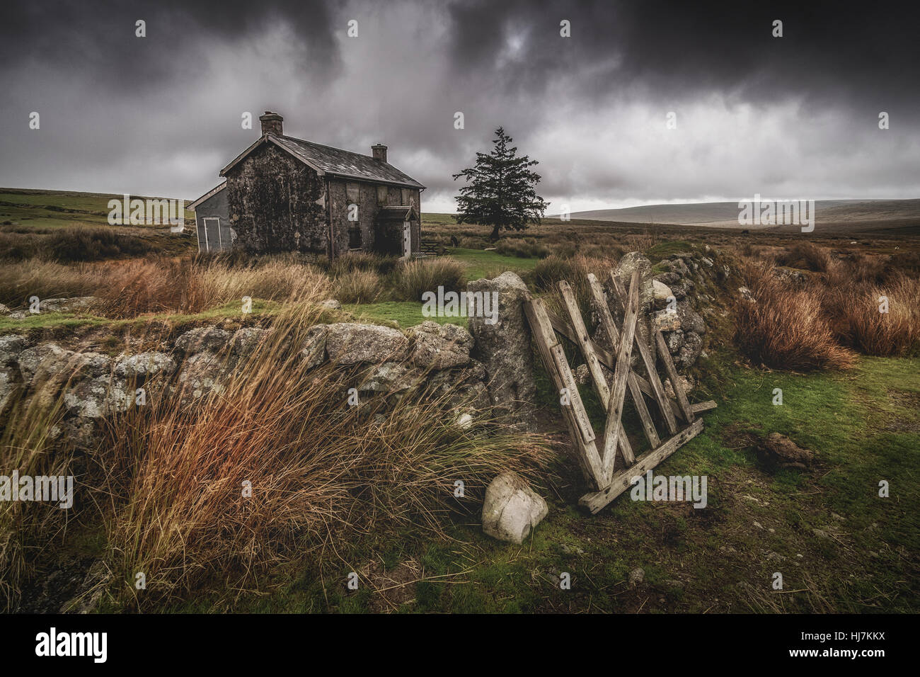 A moody shot of Nuns Cross Farm on Dartmoor, Devon, U.K Stock Photo