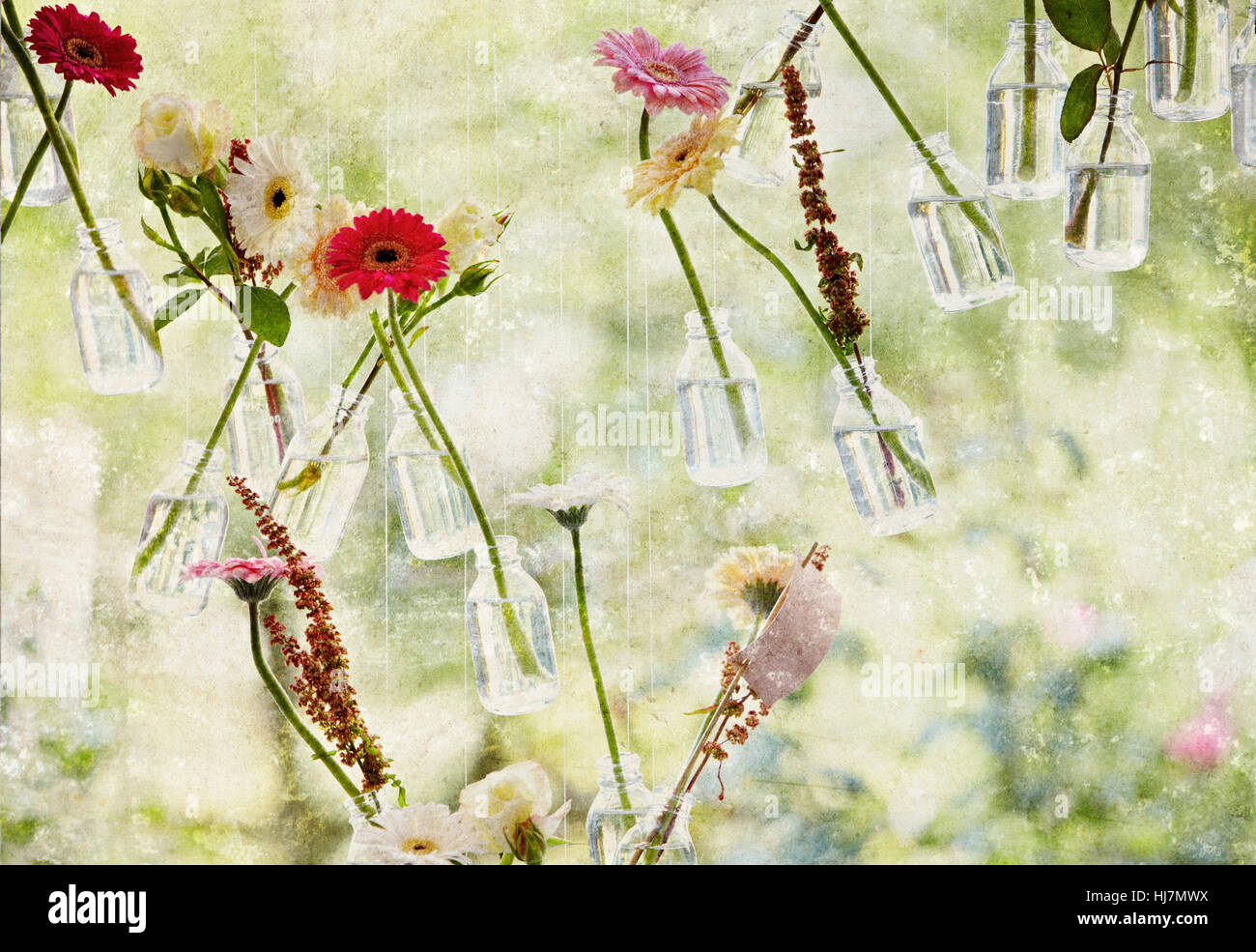 flower, rose, plant, window, porthole, dormer window, pane, pendant, bottle, Stock Photo