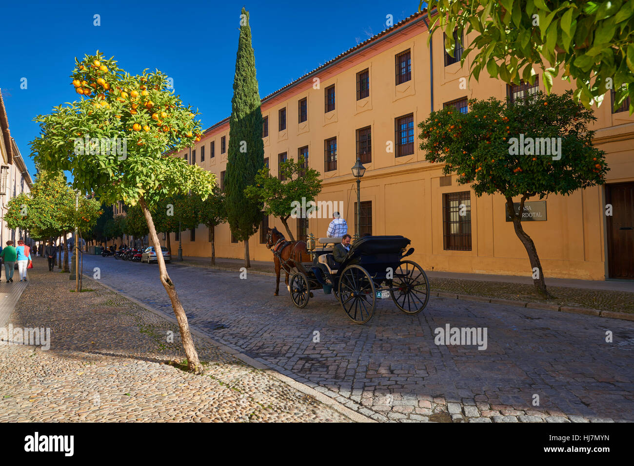 A traditional horse and carriage, Cordoba, Andalusia, Spain, Europe Stock Photo