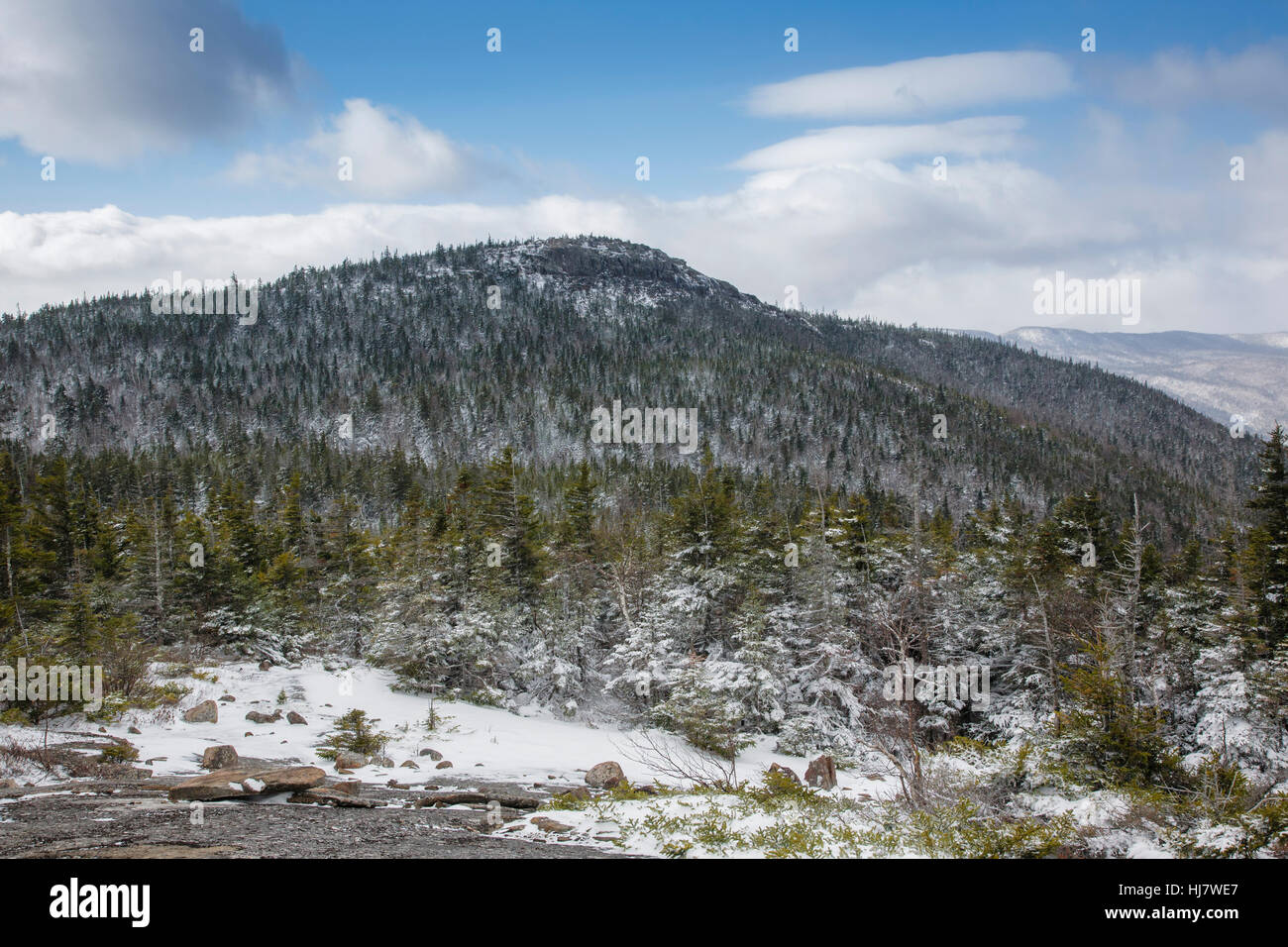 Mount Crawford from Davis Path in Hadley's Purchase, New Hampshire USA