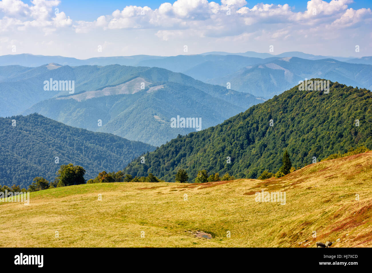 Top view mountain green forest hi-res stock photography and images - Alamy
