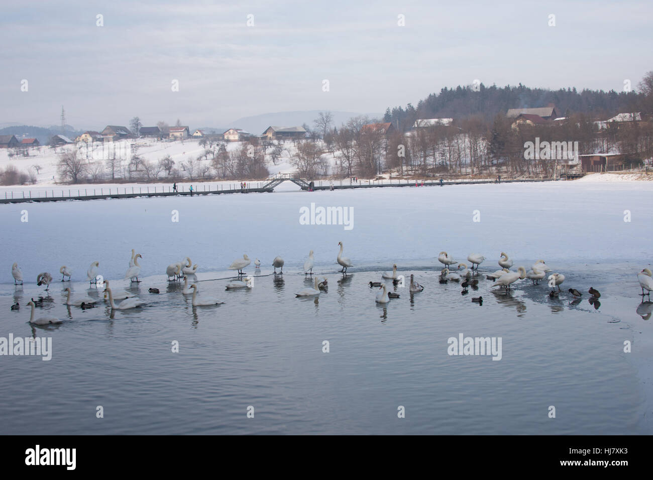 Šmartinsko jezero, Celje, Slovenia Stock Photo