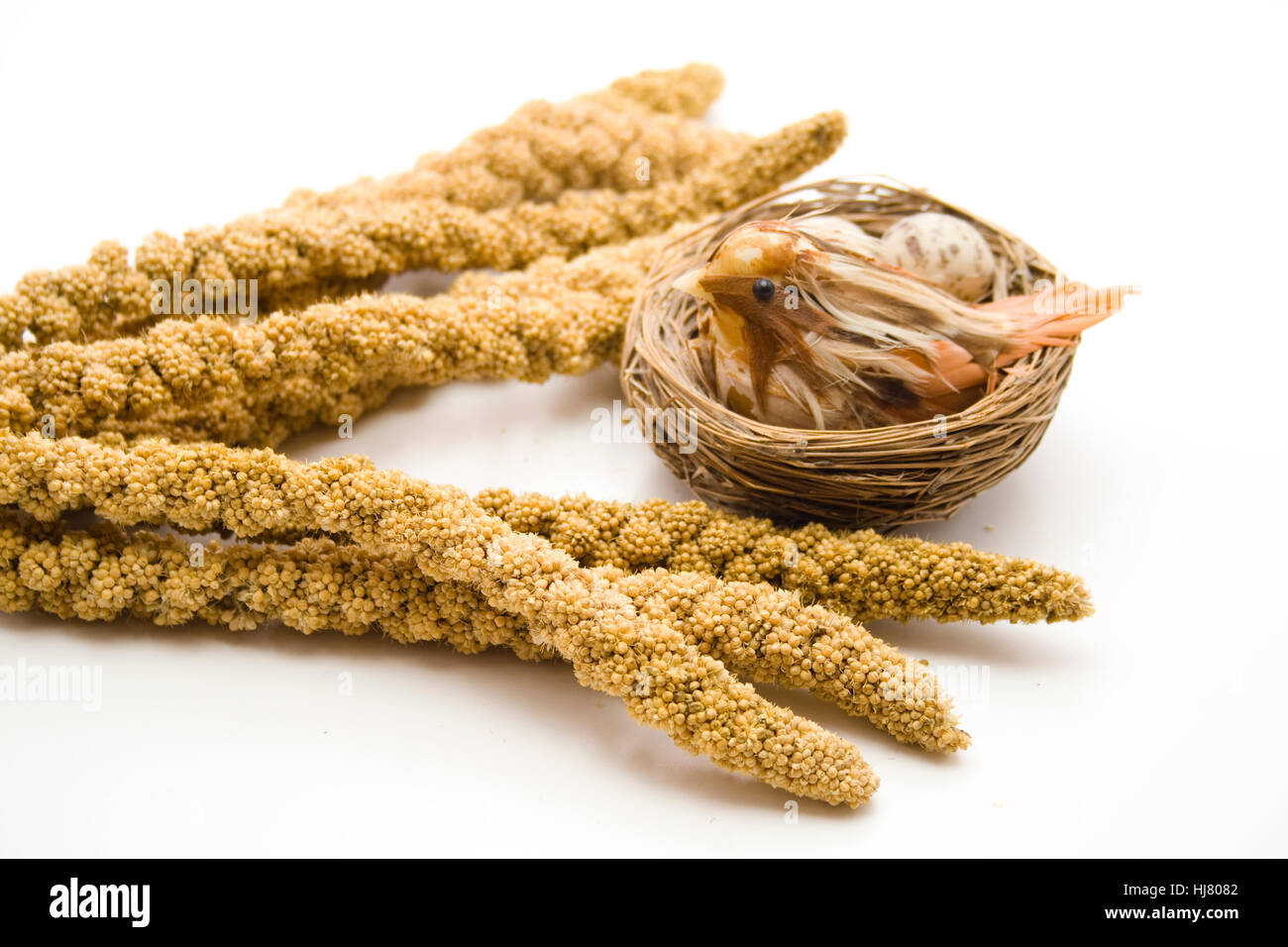 rods, birdseed, millet, animal, bird, birds, nest, rods, birdseed
