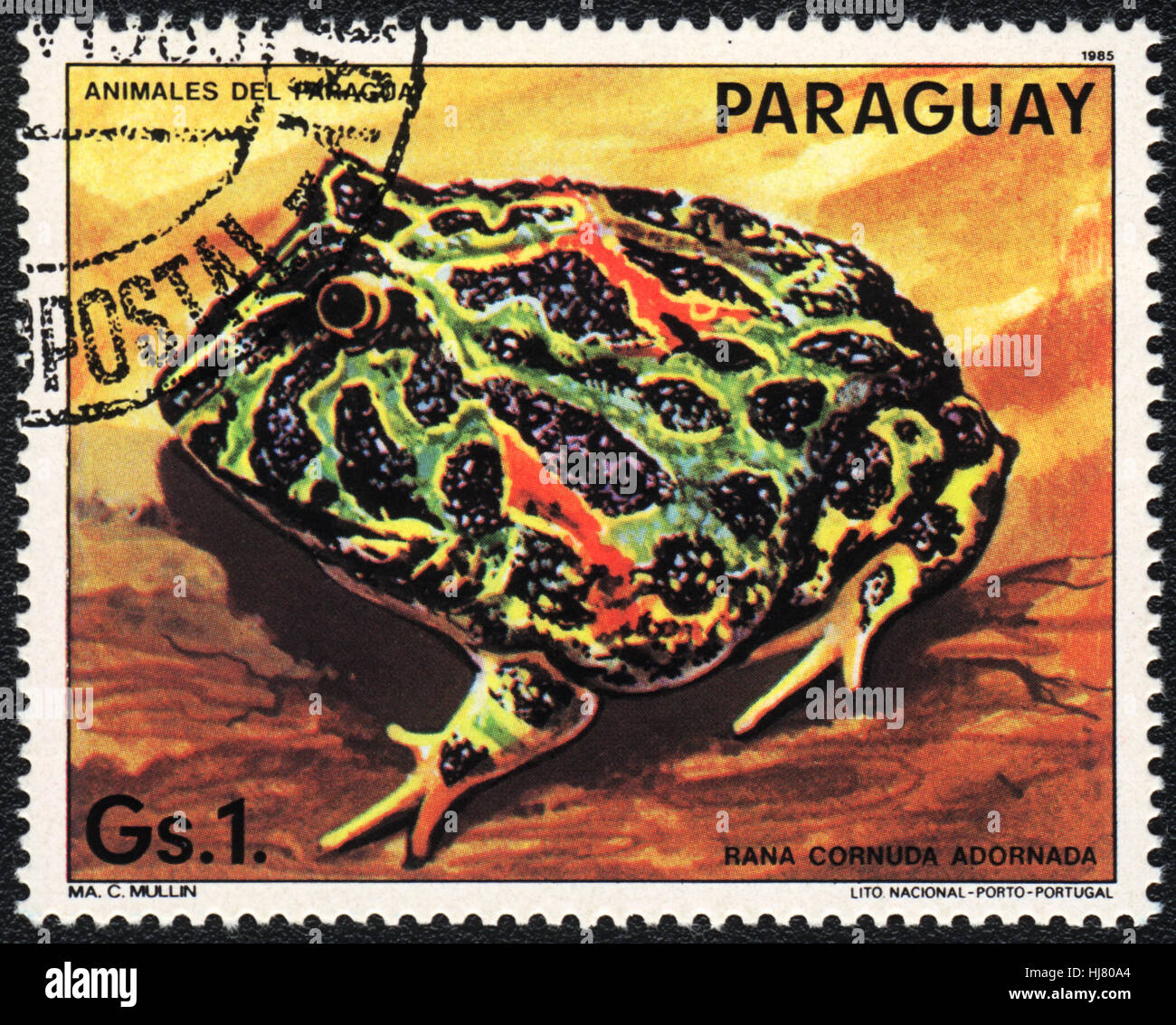 A postage stamp printed in Paraguay shows a  (Ceratophrys cranwelli) Rana cornuda adornada, 1985 Stock Photo