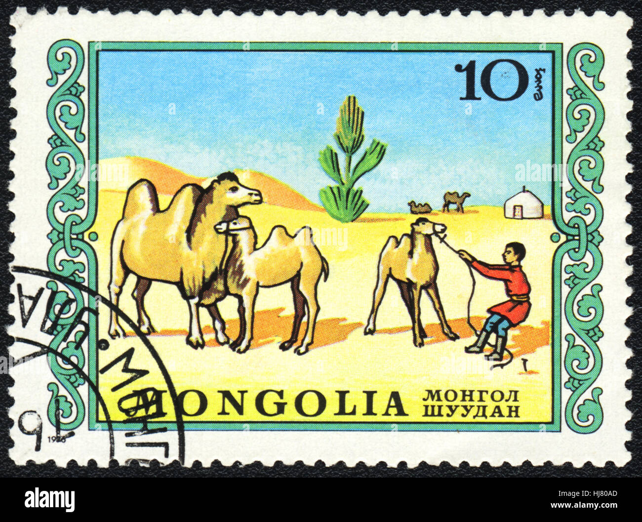 A postage stamp printed in Mongolia shows a domestic camel, series, circa 1976 Stock Photo
