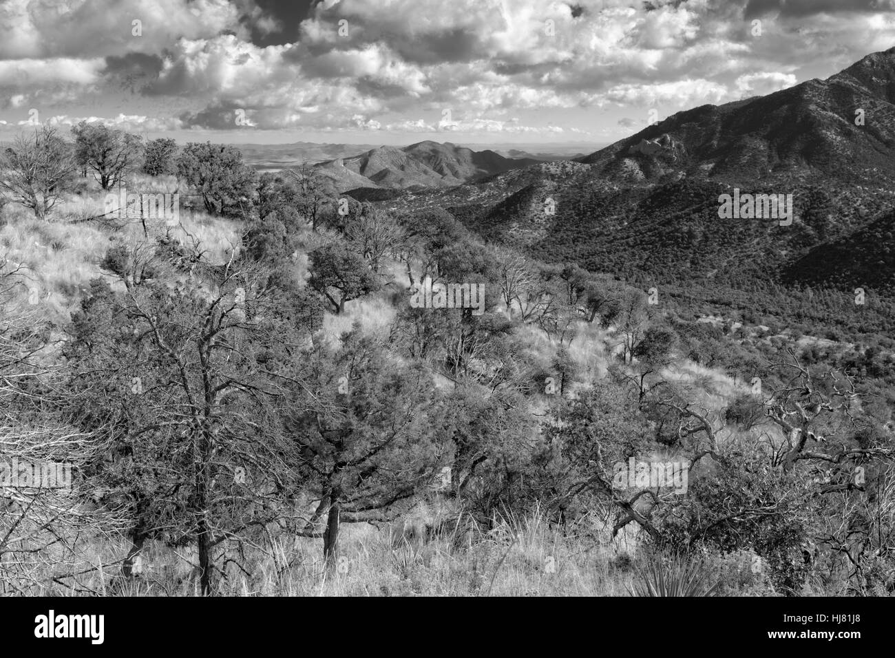 Chiricahua Mountain Wilderness View, Arizona Stock Photo