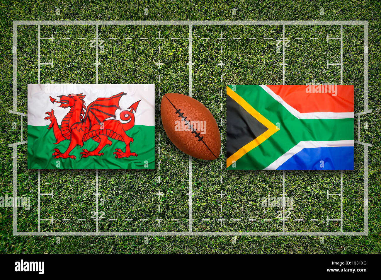 Wales vs south africa flags hi-res stock photography and images