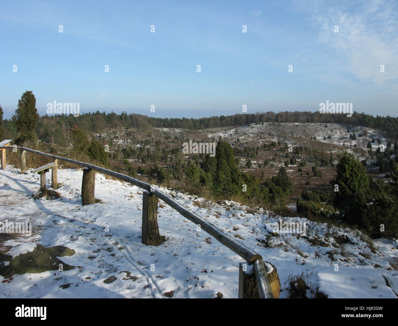 travel, tree, winter, tourism, field, hike, go hiking, ramble, conservation of Stock Photo