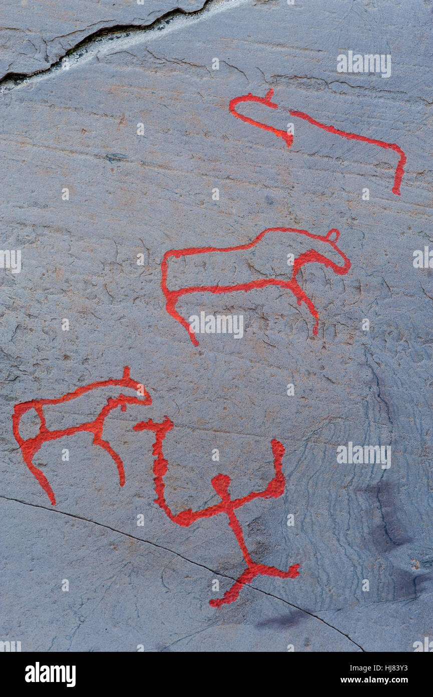 Rock carvings depicting hunting scene with man and reindeer on a grey flat stone. Part of Alta Rock Art, UNESCO World Heritage Site, Alta, Finnmark, Stock Photo