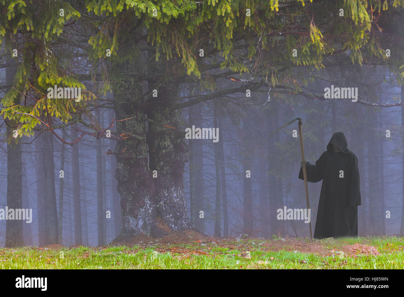 Grim Reaper in the foggy wood Stock Photo