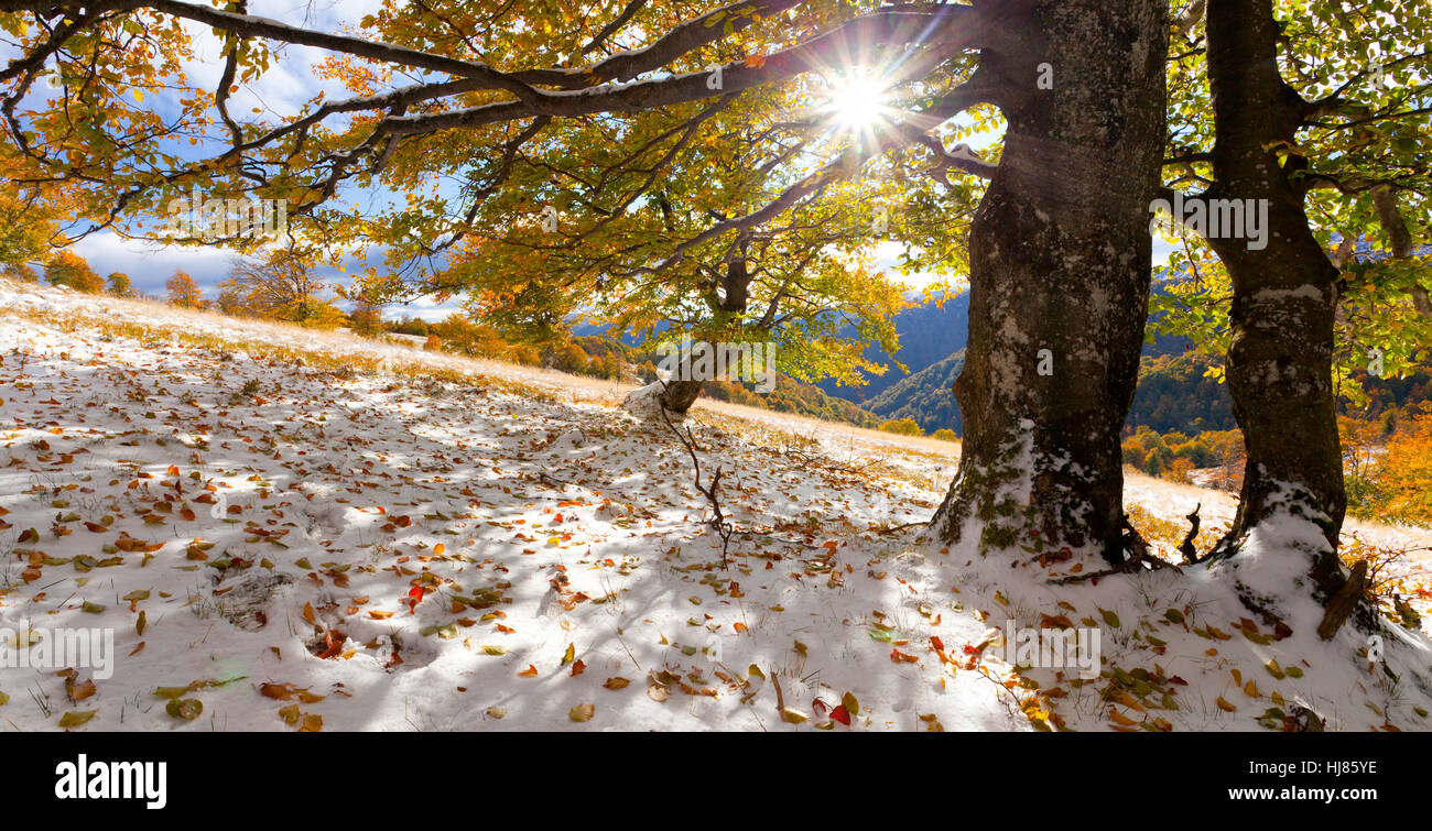 First winter snow mountain hi res stock photography and images Alamy