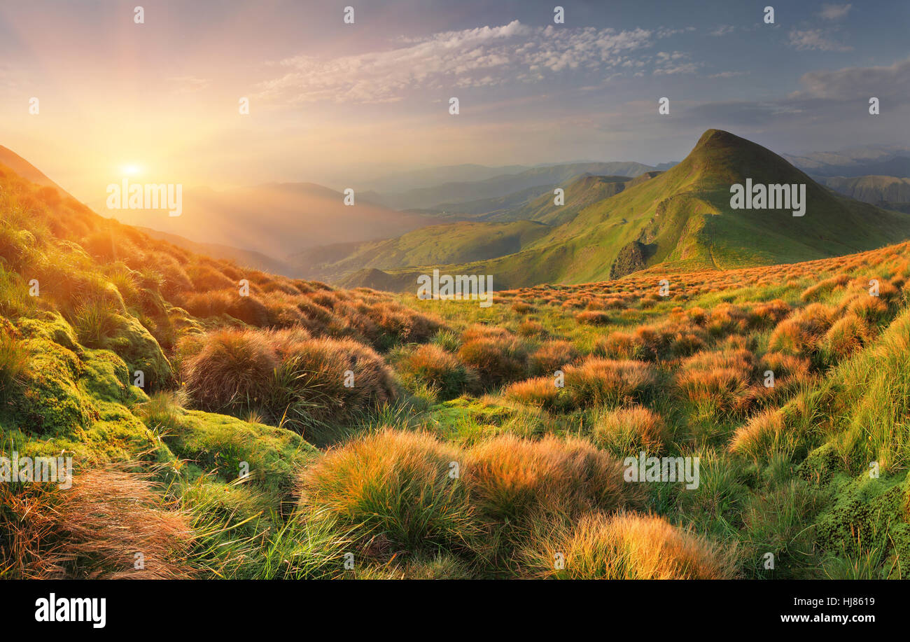 Beautiful summer landscape in the mountains. Sunrise Stock Photo