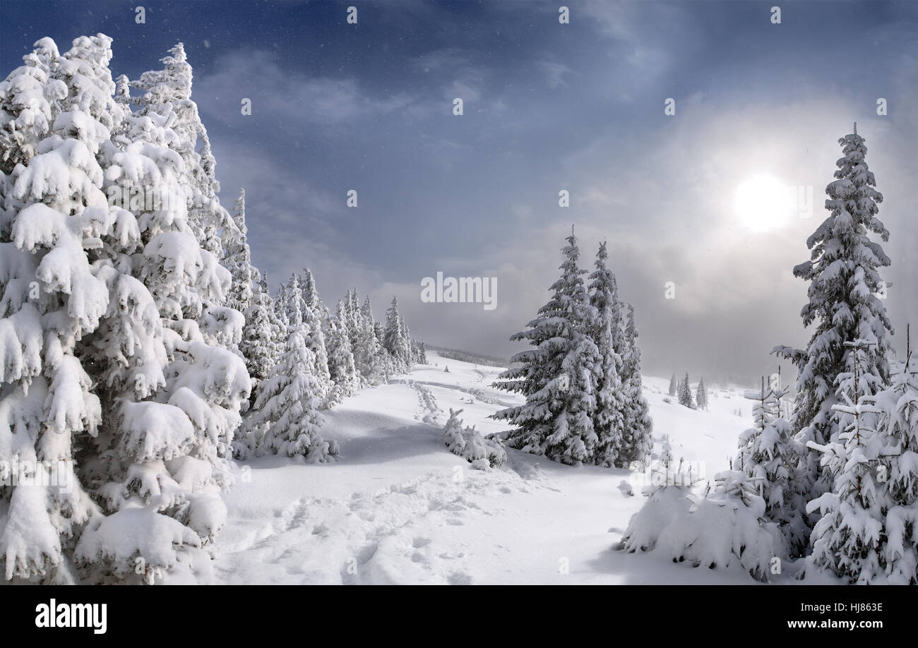 Beautiful winter landscape in the Carpathian mountains Stock Photo