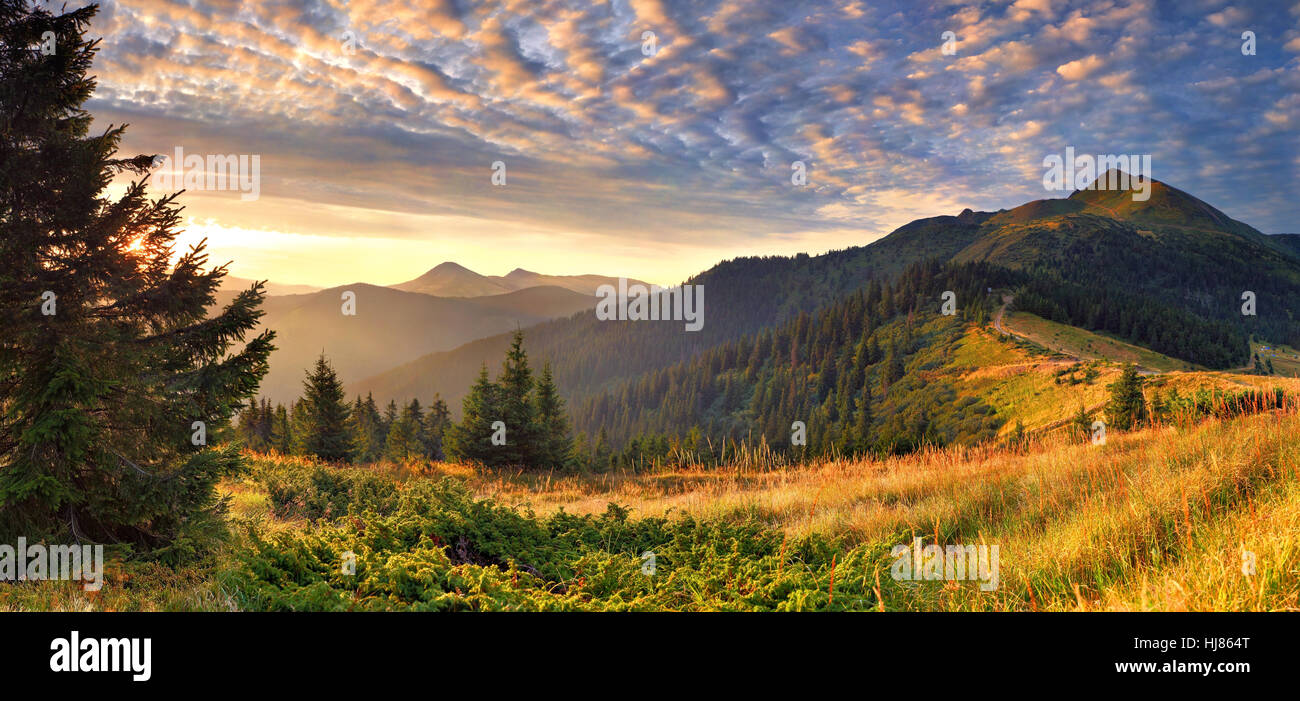 Beautiful summer landscape in the mountains. Sunrise Stock Photo