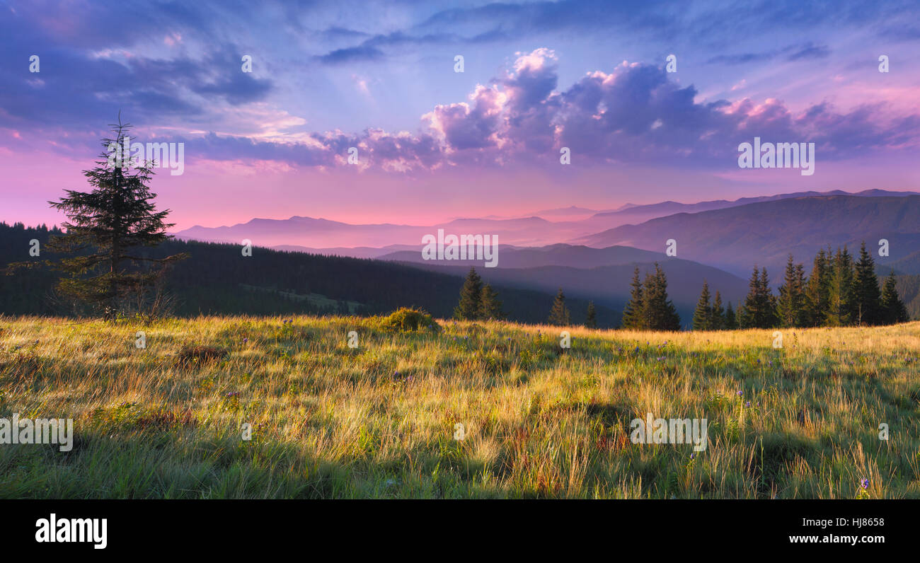 Beautiful morning landscape in the Carpathian mountains Stock Photo - Alamy