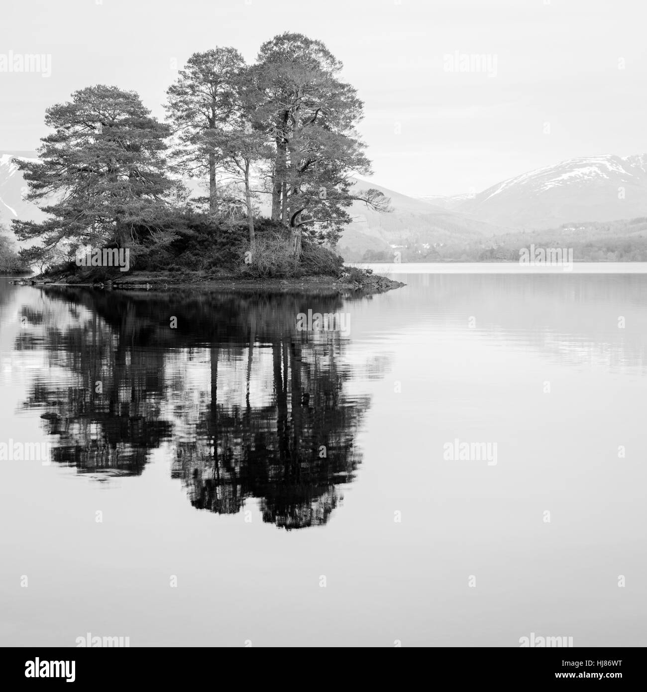 Still day on the lake Stock Photo
